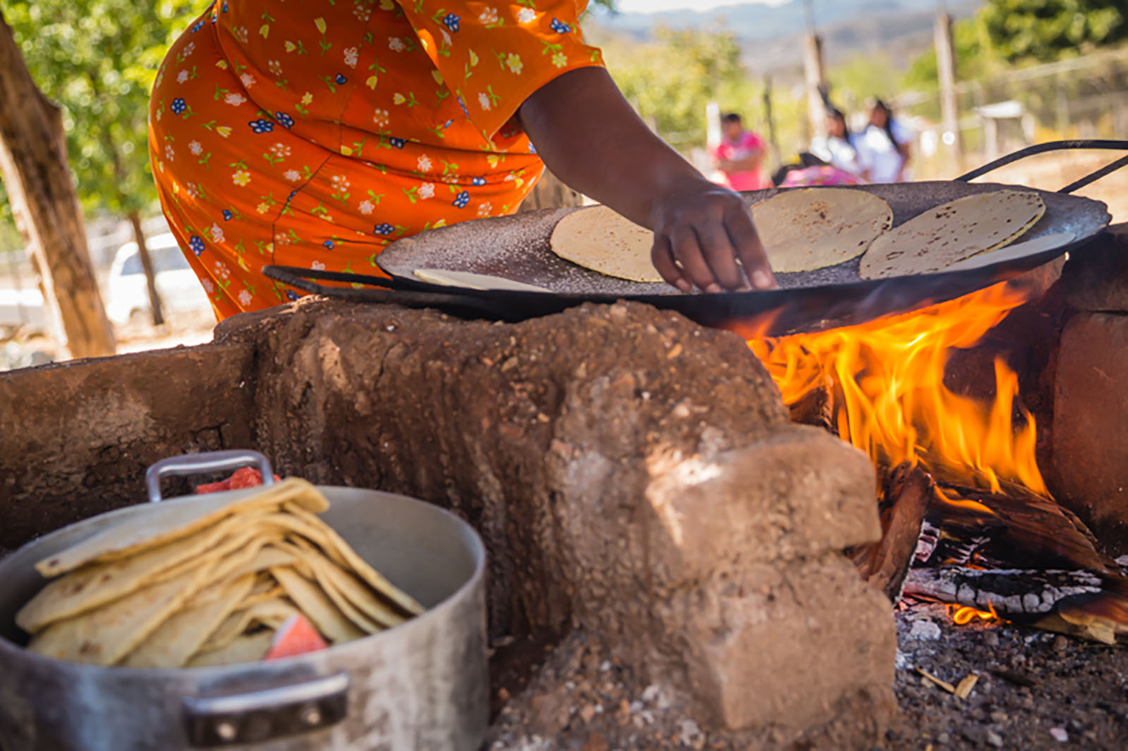 2019-aeftortillas2016-1600