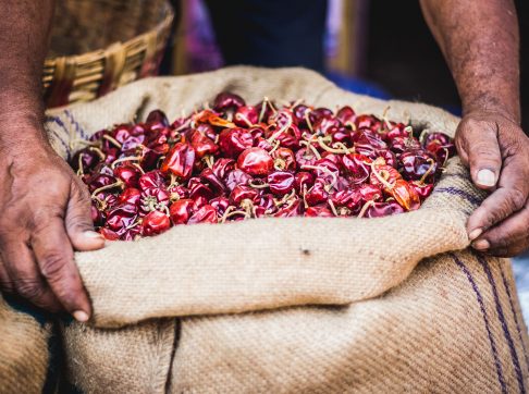 shutterstock_1689564475-1600