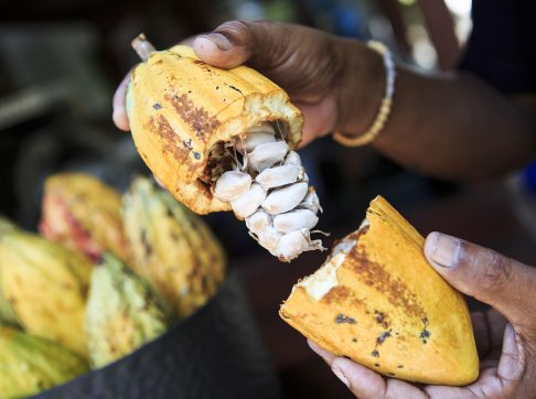 shutterstock_335565143-1600